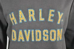 Harley Davidson Harley-Davidson Women's Hoodie Blackened Pearl Racer Font Neck Pullover (S04) 9 Harley Davidson Harley-Davidson Women's Hoodie Blackened Pearl Racer Font Neck Pullover (S04) -Harley Davidson Shop e5fde1ed 5d4a 5d04 9c61 2b558558684e