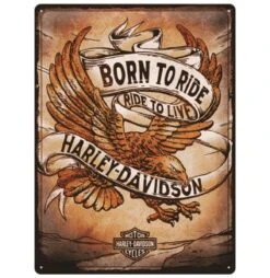 Harley Davidson Harley-Davidson Born To Ride Ride To Live Metal Sign - 30 X 40 Cm